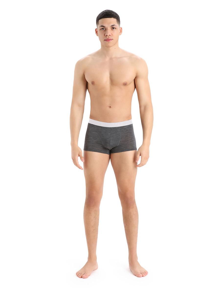 Icebreaker Cool-Lite™ Merino Anatomica Trunks Miesten Alusvaatteet Taupe | FI 1288WNBY